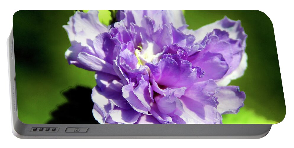 Flower Portable Battery Charger featuring the photograph Purple on Green by John Lautermilch