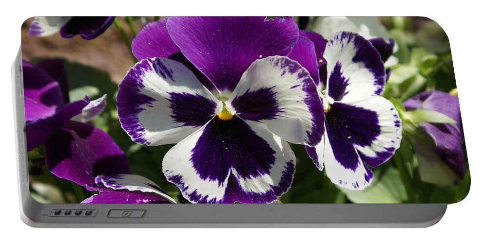  Portable Battery Charger featuring the photograph Purple Pansy by Heather E Harman