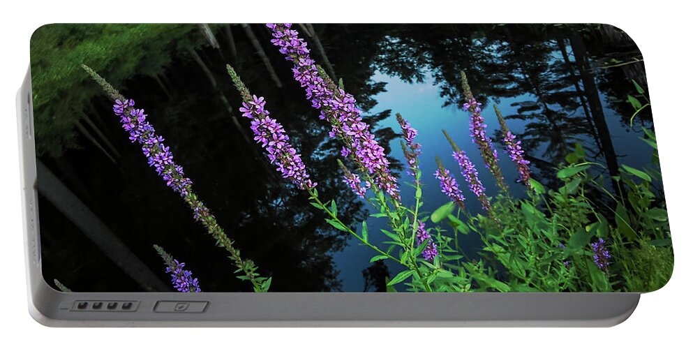 Purple Loosestrife Portable Battery Charger featuring the photograph Purple Reign by Jerry LoFaro