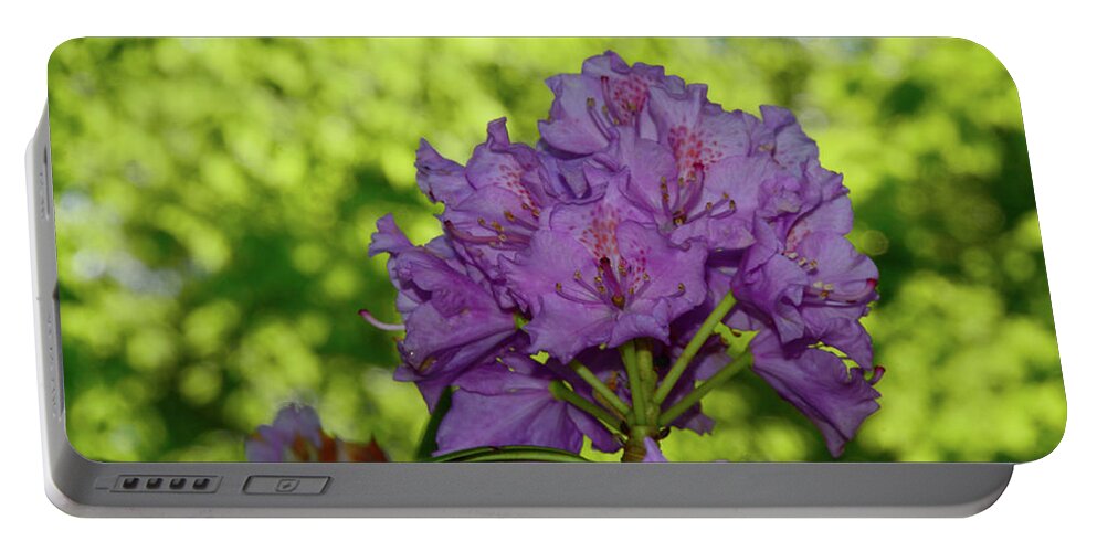 Purple Rhododendron Portable Battery Charger featuring the photograph Purple Rhododendron 2 by Raymond Salani III