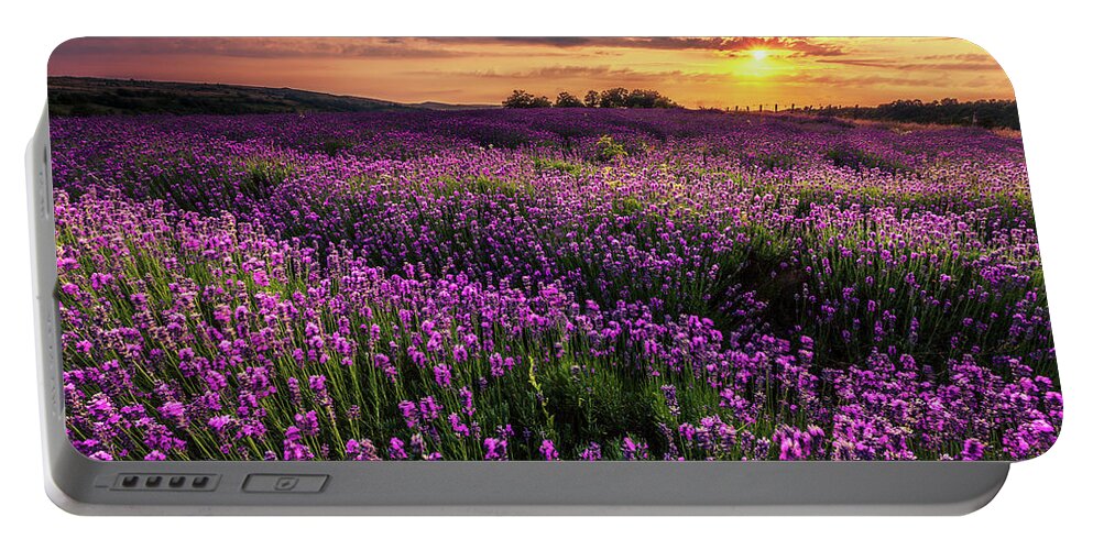 Bulgaria Portable Battery Charger featuring the photograph Purple Sea by Evgeni Dinev