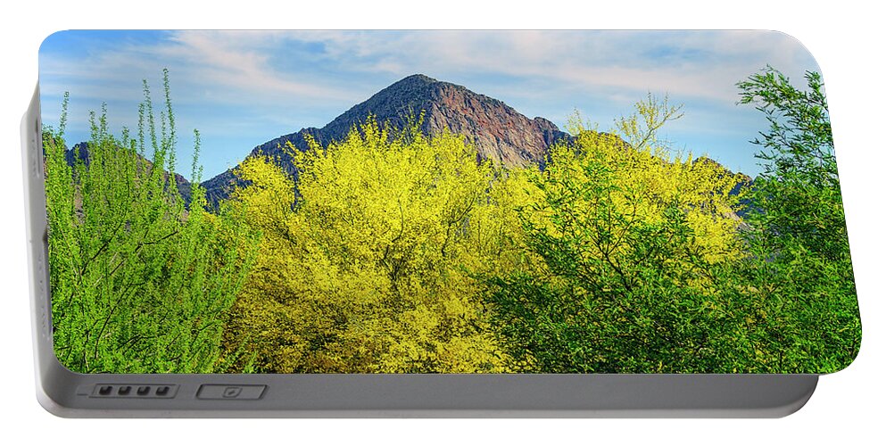 Arizona Portable Battery Charger featuring the photograph Pusch Peak Spring 25093 by Mark Myhaver