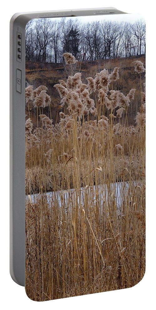 Nature Portable Battery Charger featuring the photograph Quarry Whisps And Pond by Kreddible Trout
