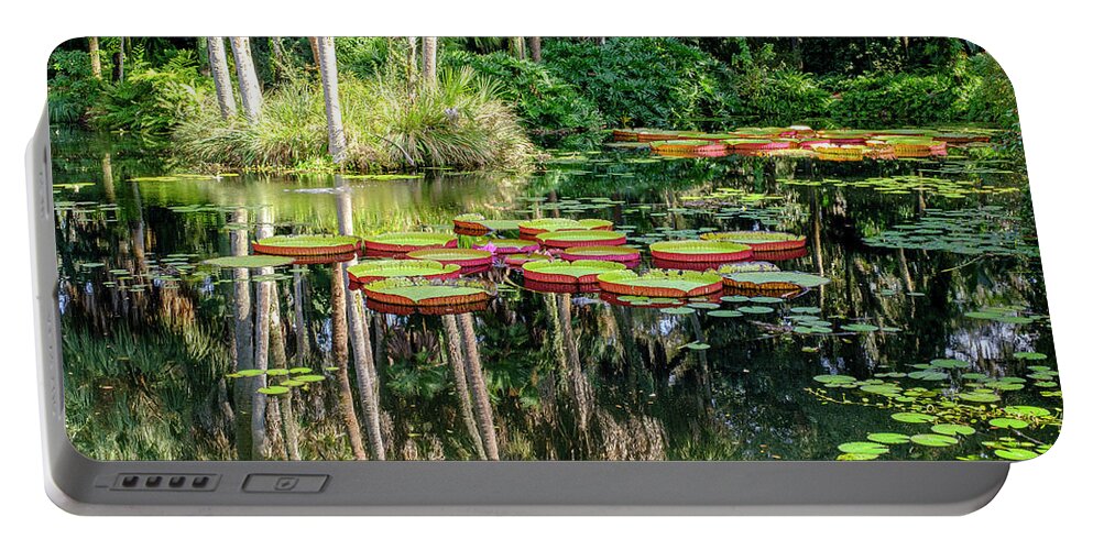 Garden Portable Battery Charger featuring the photograph Quiet Garden by Tony Locke