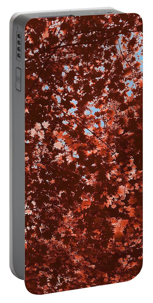 Susan Molnar Portable Battery Charger featuring the photograph Quintessential Fall by Susan Molnar