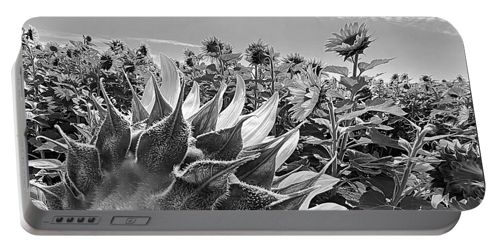 Sunflower Portable Battery Charger featuring the photograph Radar Love BW by Lee Darnell