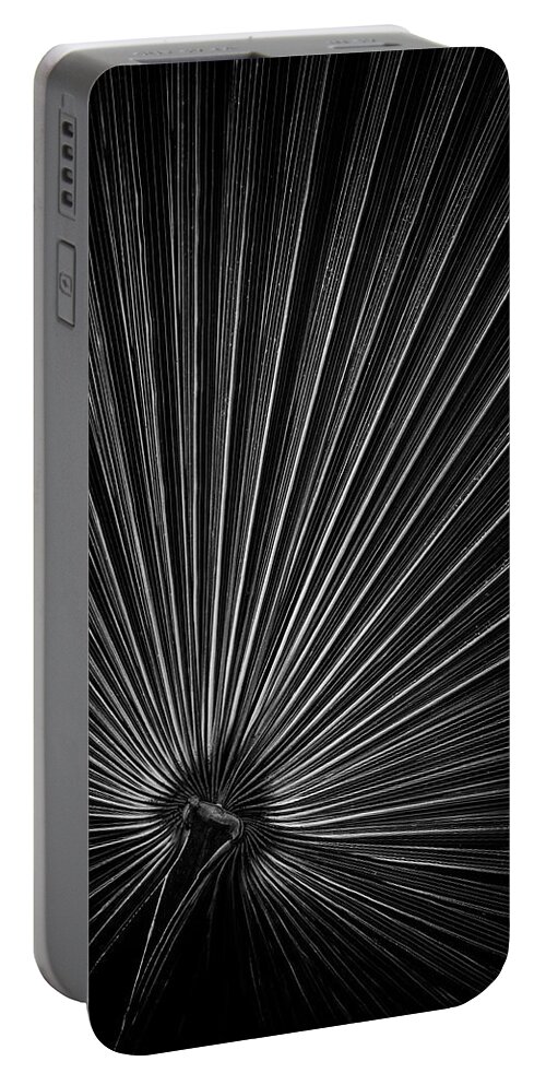 Palm Portable Battery Charger featuring the photograph Radiating Lines - Vertical by Elvira Peretsman