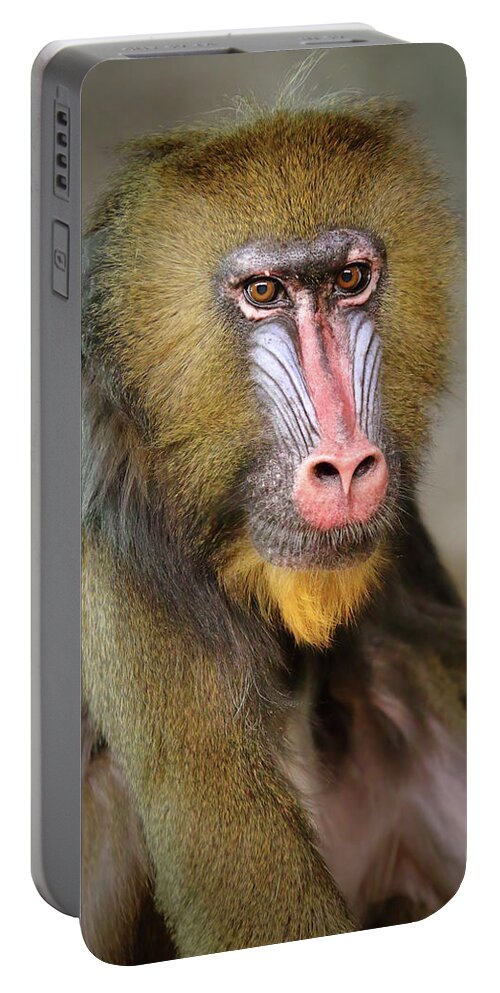 Mandrillus Sphinx Portable Battery Charger featuring the photograph Rafiki by Lens Art Photography By Larry Trager