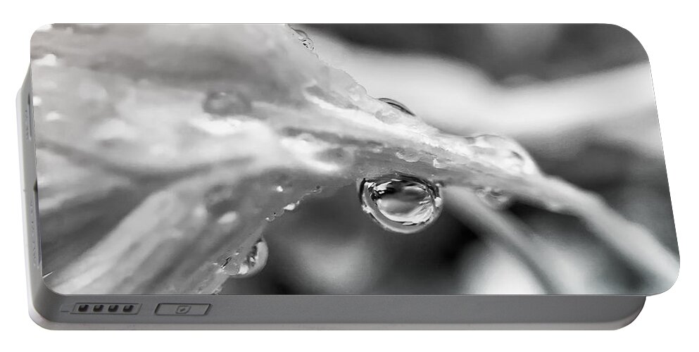 Macro Portable Battery Charger featuring the photograph Rain Drop Reflection 2 by Peggy Franz