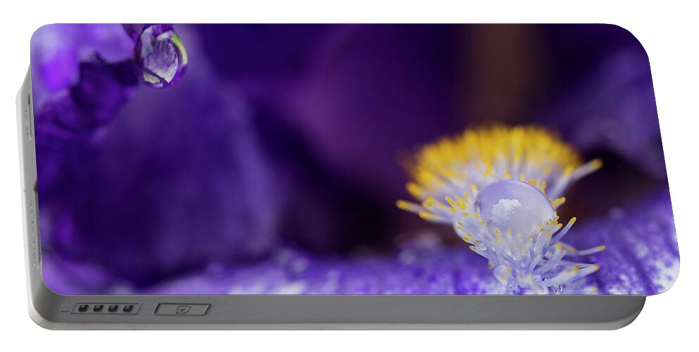 Astoria Portable Battery Charger featuring the photograph Rain Drops on Iris by Robert Potts