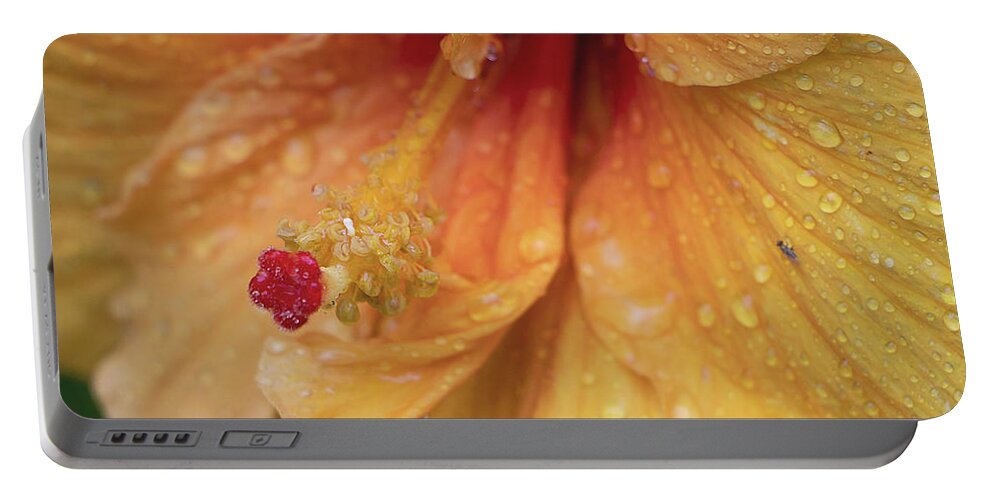 Hibiscus Portable Battery Charger featuring the photograph Rain Kissed by M Kathleen Warren