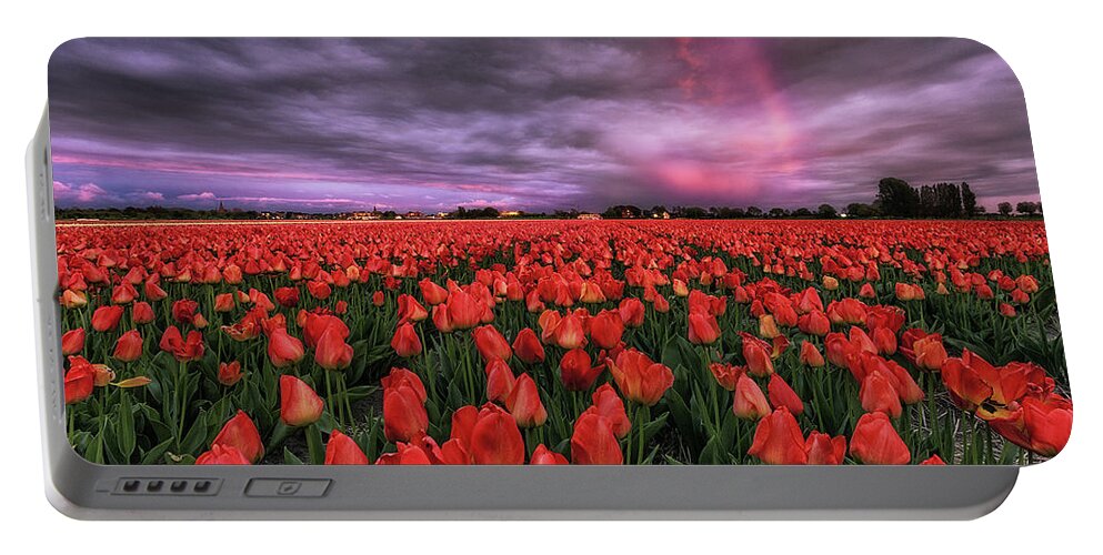 Landscape Portable Battery Charger featuring the photograph Rainbow by Jorge Maia