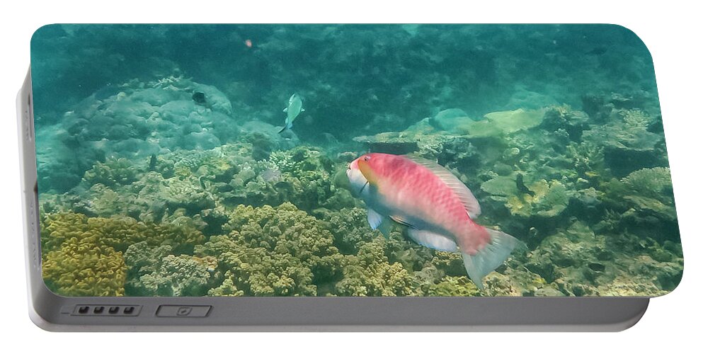 Great Barrier Reef Portable Battery Charger featuring the photograph Rainbow Parrotfish by Bob Phillips