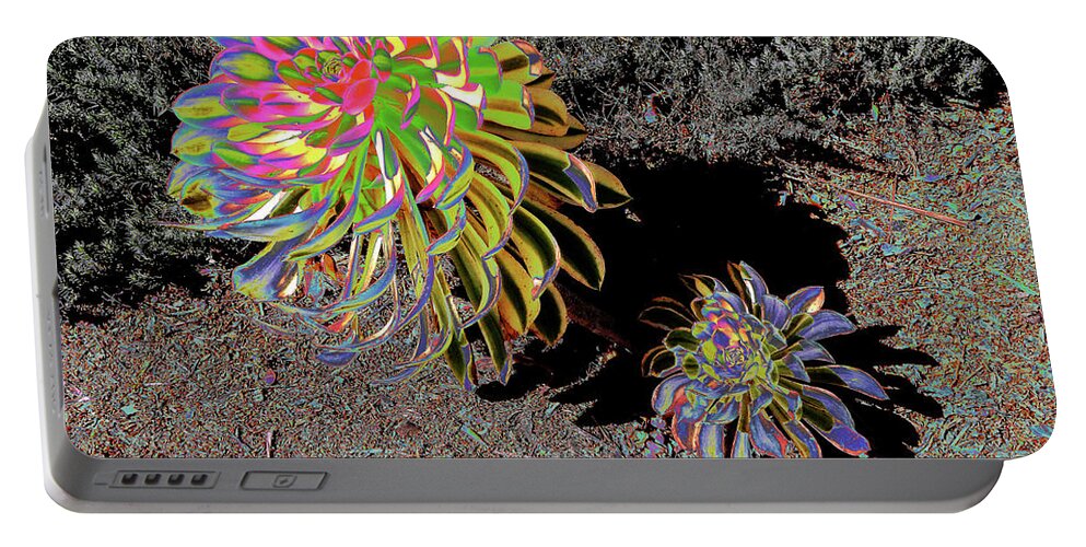 Color Portable Battery Charger featuring the photograph Rainbow Plants by Andrew Lawrence
