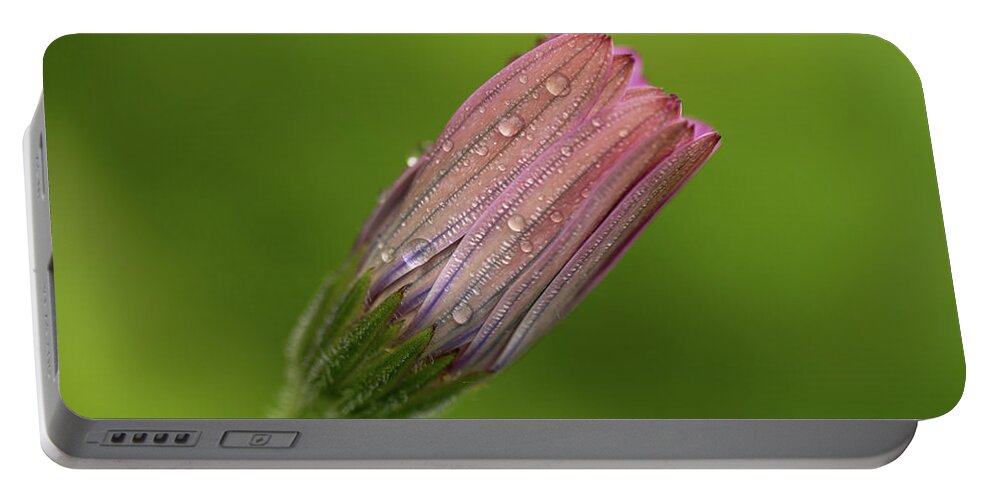 Fine Art Portable Battery Charger featuring the photograph Raindrops by Average Images