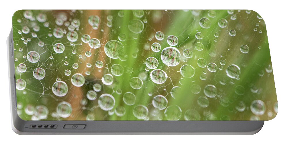 Rain Portable Battery Charger featuring the photograph Raindrops On A Web Net by Karen Rispin