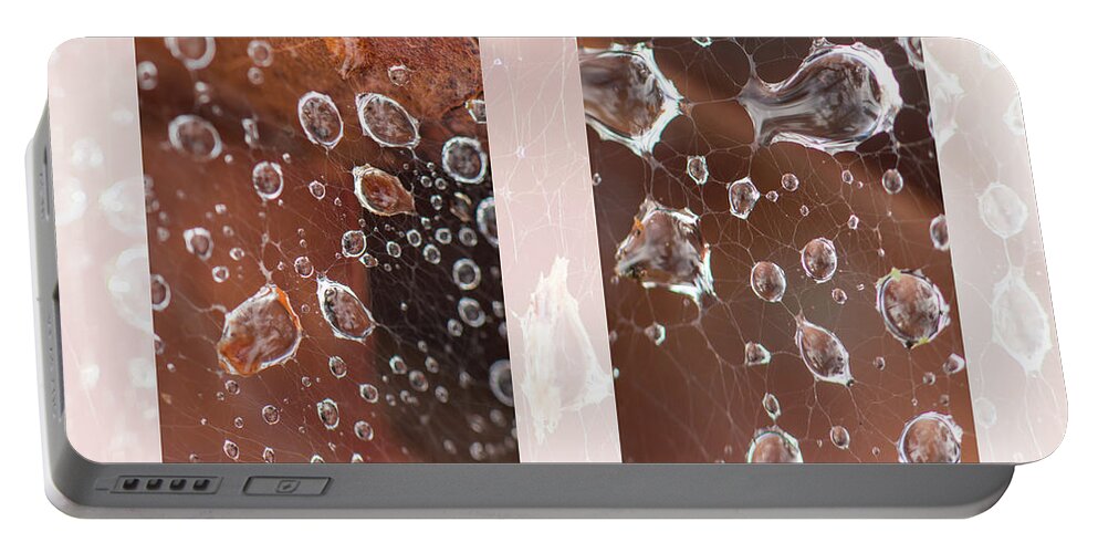 Raindrop Portable Battery Charger featuring the photograph Raindrops On Web by Karen Rispin