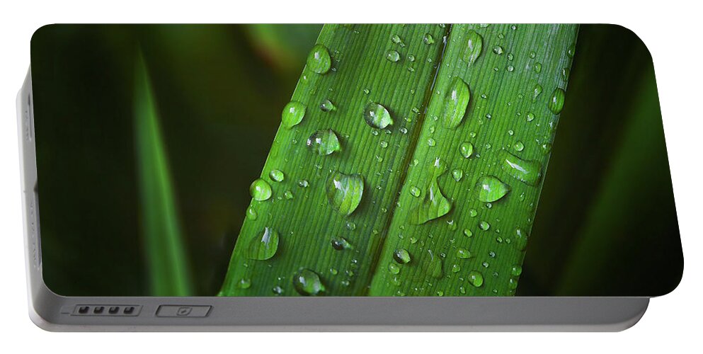 Drops Portable Battery Charger featuring the photograph Raindrops by Scott Norris