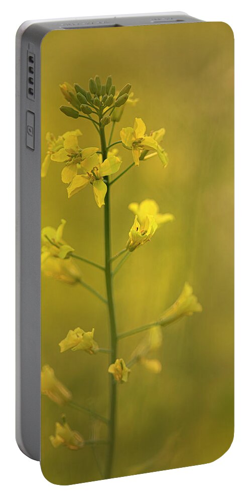 Rapeseed Portable Battery Charger featuring the photograph Rapeseed flowers by Karen Rispin