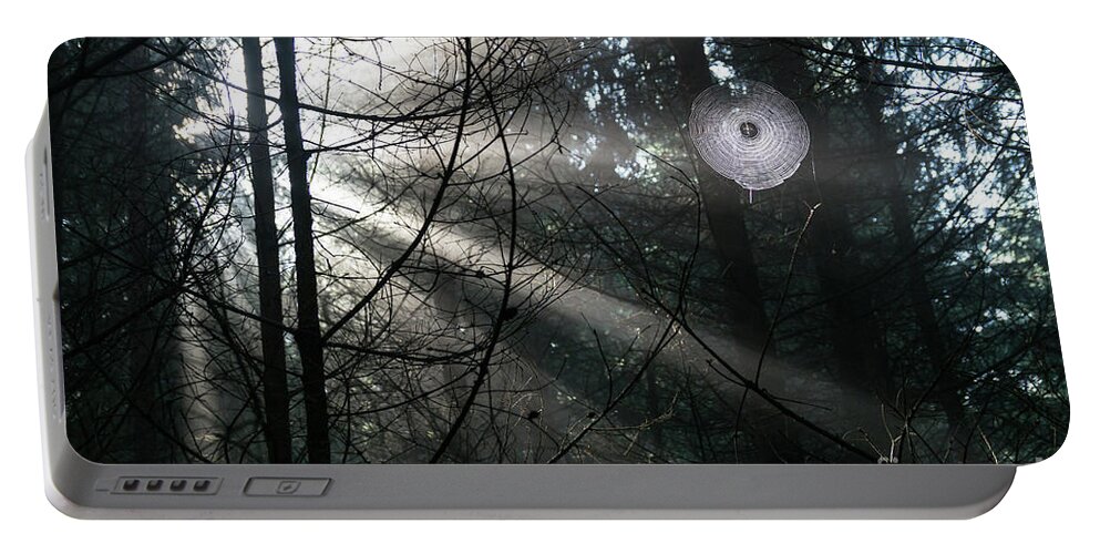 Forest Portable Battery Charger featuring the photograph Rays of light in the forest 2 by Adriana Mueller