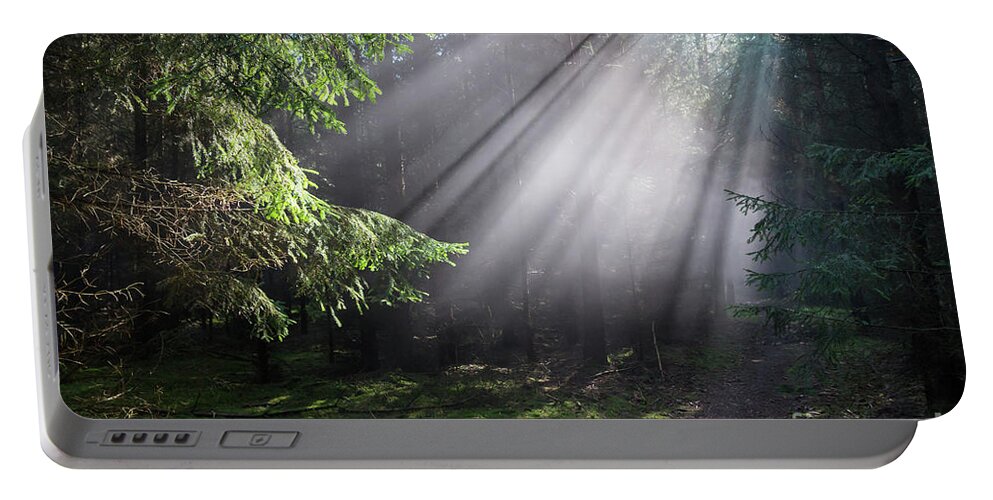 Forest Portable Battery Charger featuring the photograph Rays of light in the forest 3 by Adriana Mueller
