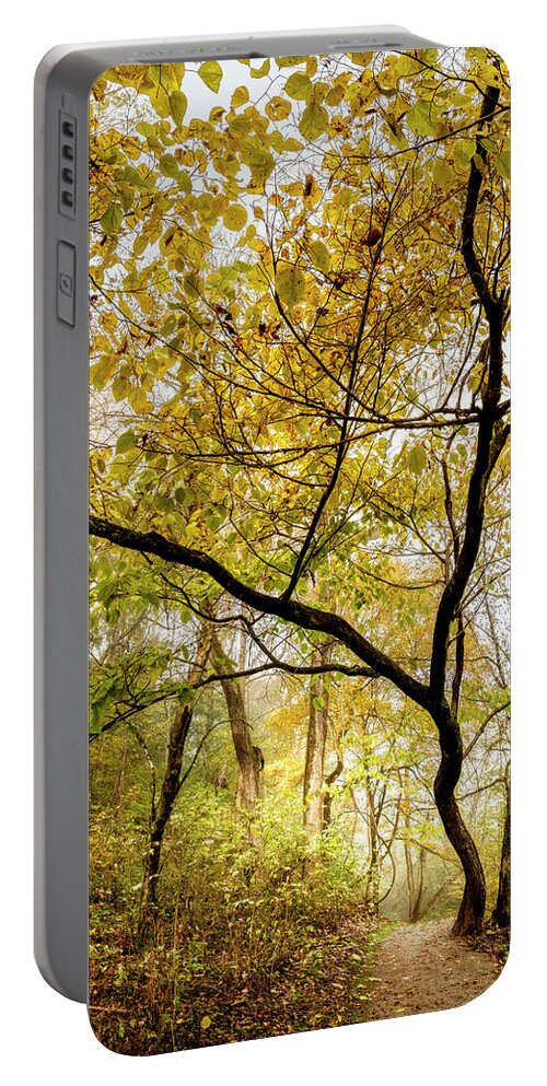 Tree Portable Battery Charger featuring the photograph Reaching Upwards into Autumn by Debra and Dave Vanderlaan