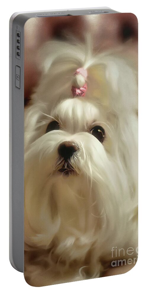 Maltese Portable Battery Charger featuring the photograph Ready For Cuddles by Lois Bryan