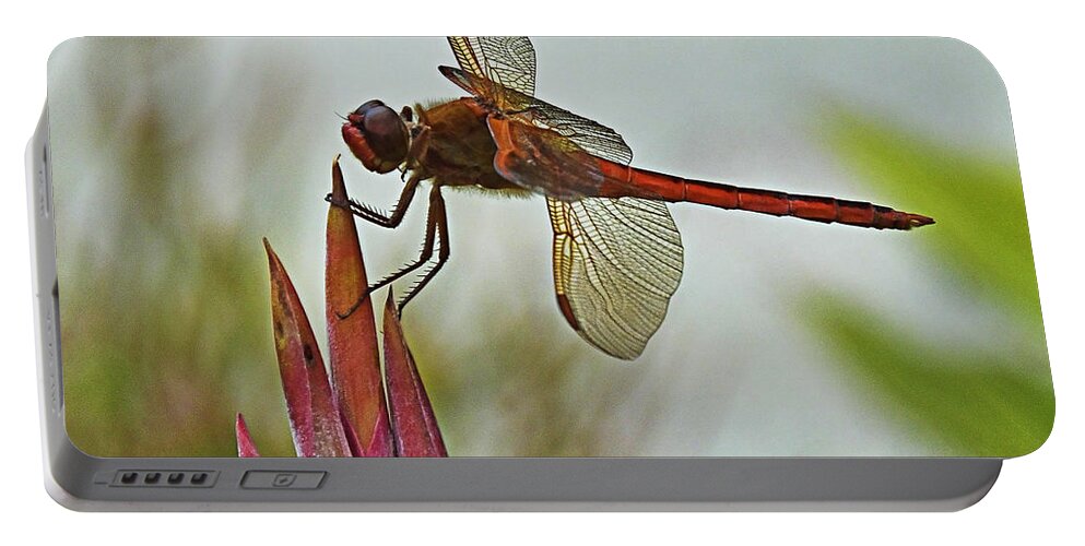 Dragonfly Portable Battery Charger featuring the photograph Ready for takeoff by Bill Barber