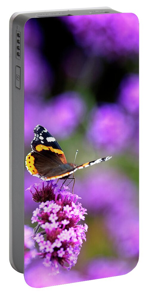 Red Admiral Portable Battery Charger featuring the photograph Red Admiral butterfly nectaring by Tony Mills