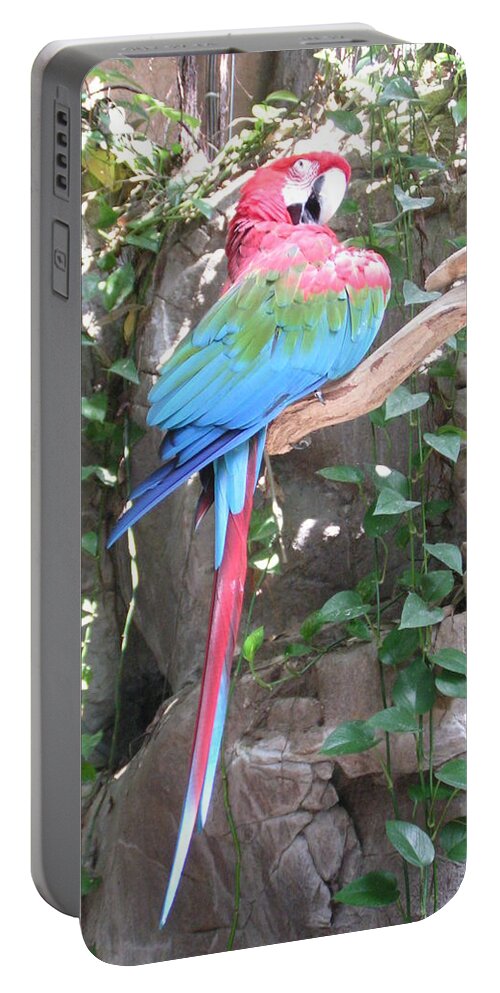 Taken At The Audubon Zoo In New Orleans Portable Battery Charger featuring the photograph Red and Green Macaw by Heather E Harman