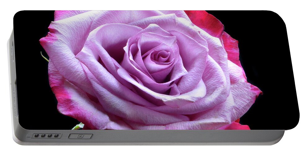 Rose Portable Battery Charger featuring the photograph Red and Pink Rose by Terence Davis
