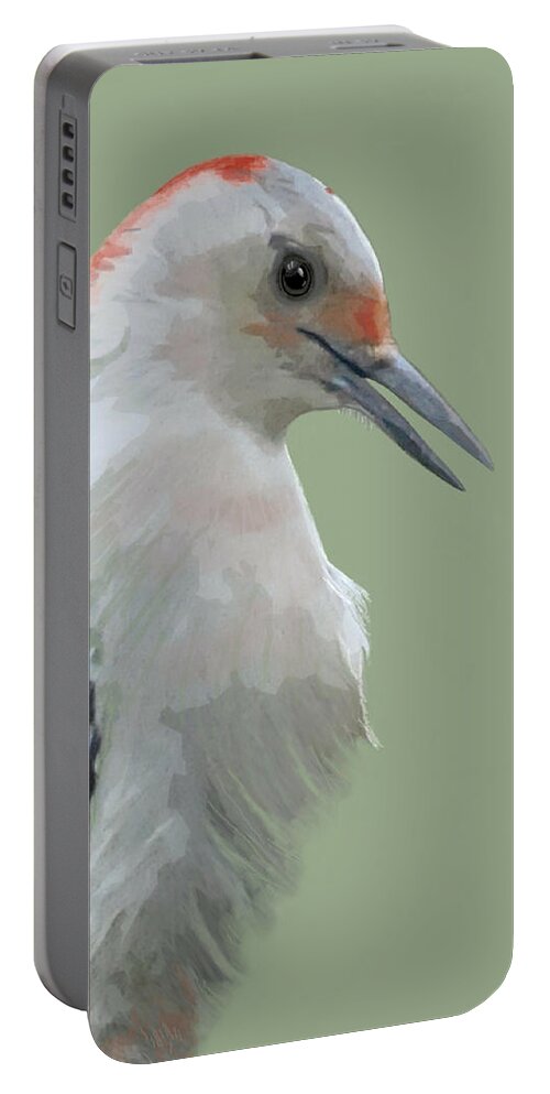 Nature Portable Battery Charger featuring the mixed media Red Bellied Woodpecker by Judy Cuddehe