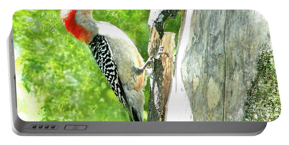 Fauna Portable Battery Charger featuring the digital art Red-Bellied Woodpecker by Mariarosa Rockefeller