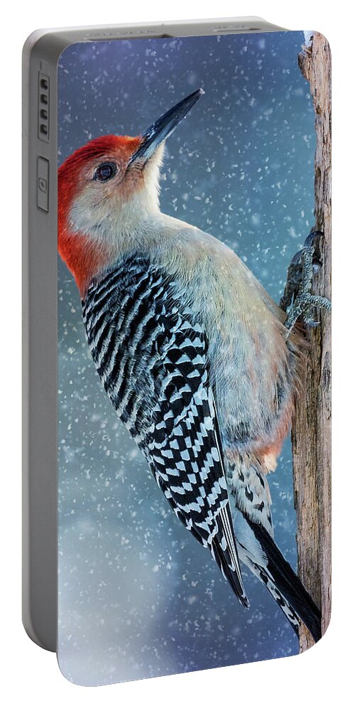 Tree Portable Battery Charger featuring the photograph Red-Belly Snowy Tree by Bill and Linda Tiepelman