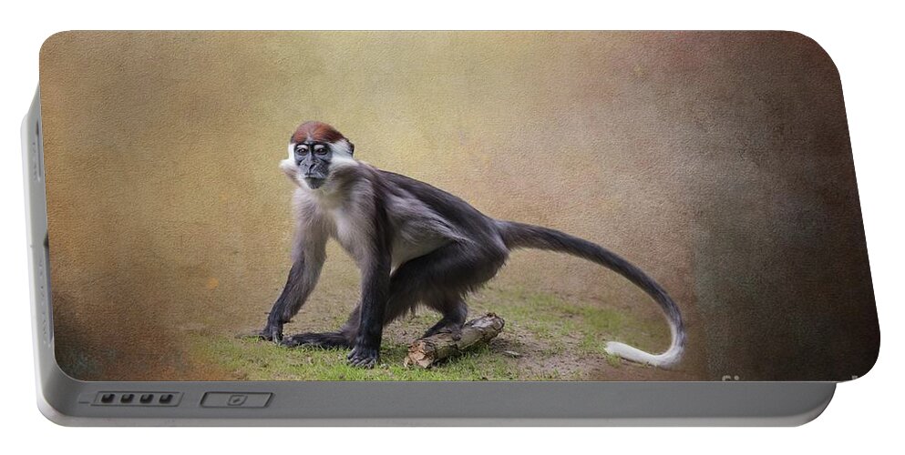 Collared Mangabey Portable Battery Charger featuring the photograph Red-Capped Mangabey by Eva Lechner