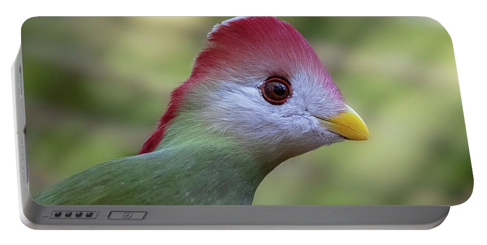 Turaco Portable Battery Charger featuring the photograph Red-crested Turaco by Gareth Parkes