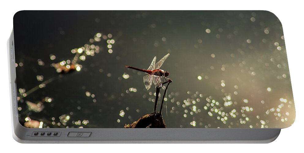 Insects Portable Battery Charger featuring the photograph Red Dragon by Marcus Jones