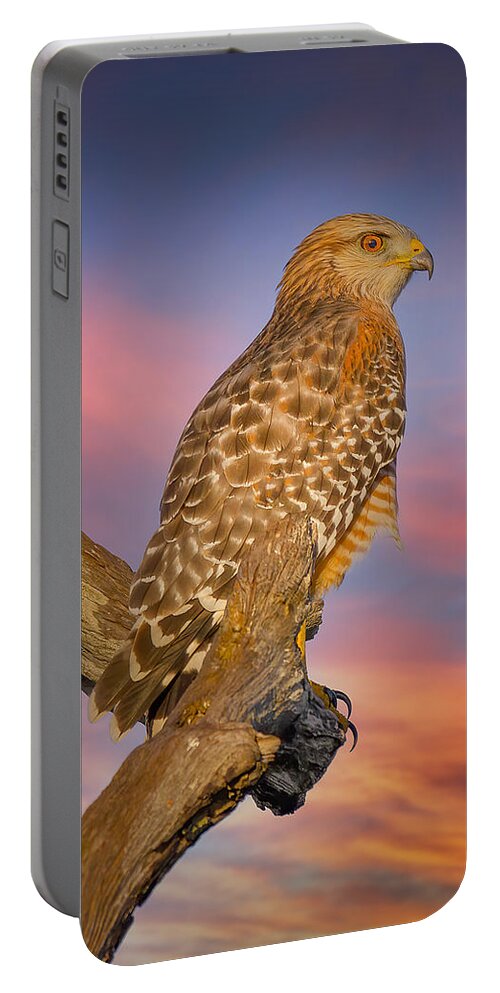 Red Shouldered Hawk Portable Battery Charger featuring the photograph Red Hawk Red Sunset by Mark Andrew Thomas