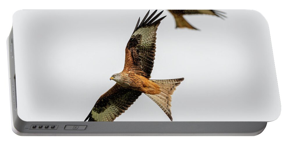 Red Kite Portable Battery Charger featuring the photograph Red Kite turning by Mark Hunter