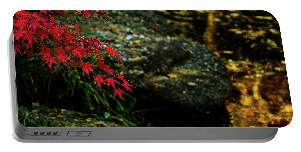Red Maple Limb Portable Battery Charger featuring the photograph Red Maple Limb by Johnny Boyd