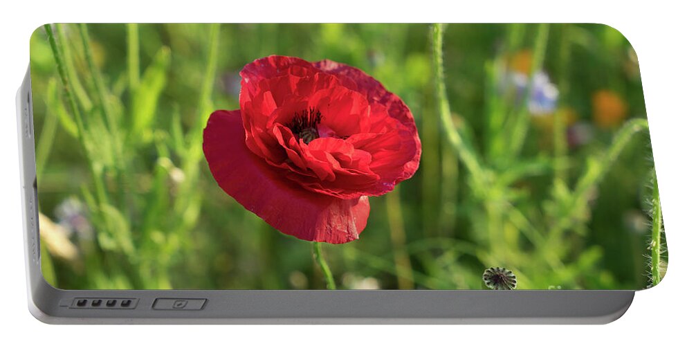 Poppy Portable Battery Charger featuring the photograph Red poppy and green summer meadow by Adriana Mueller