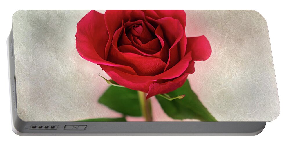 Red Rose Portable Battery Charger featuring the photograph Red Rose Single Stem Print by Gwen Gibson