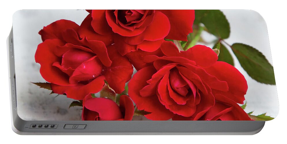 Roses Portable Battery Charger featuring the photograph Red Roses by Gina Fitzhugh