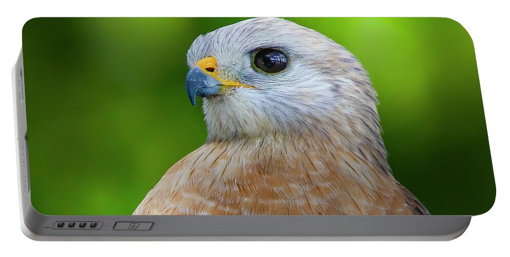 Hawk Portable Battery Charger featuring the photograph Red Shouldered Hawk Portrait by Mark Andrew Thomas