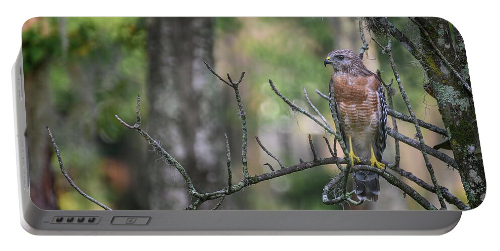 Red-shouldered Hawk Portable Battery Charger featuring the photograph Red-Shouldered Hawk by Steven Sparks