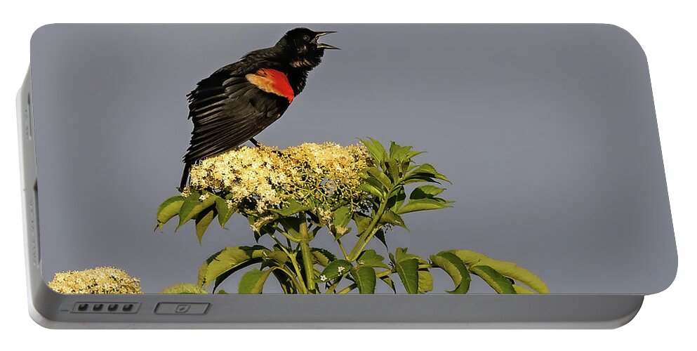 Bird Portable Battery Charger featuring the photograph Red Wing Calling by Fon Denton