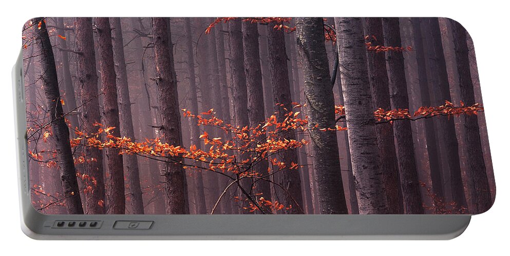 Mountain Portable Battery Charger featuring the photograph Red Wood by Evgeni Dinev