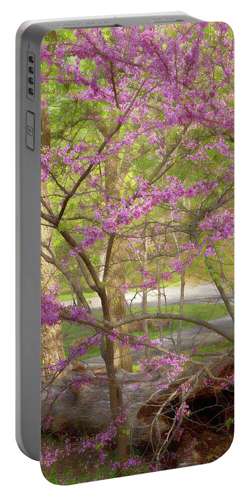 Oklahoma Redbud Portable Battery Charger featuring the photograph Redbuds In Bloom by Lana Trussell