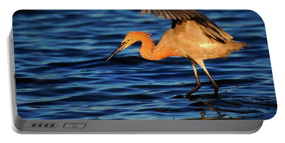 Reddish Egret Portable Battery Charger featuring the photograph Reddish Egret Canopy In Blue by John F Tsumas