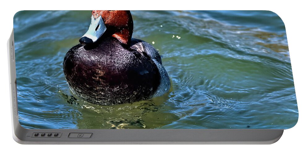 Redhead Duck Portable Battery Charger featuring the photograph Redhead Duck by Carol Montoya